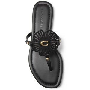 COACH Womens Julia Flats Sandals Black sz9